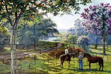 campo jigsaw puzzle