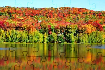 Toy jigsaw puzzle