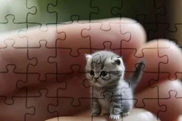  jigsaw puzzle