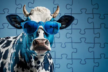 cool cow jigsaw puzzle