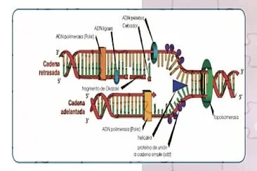 Biolgia