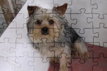 Pupi jigsaw puzzle