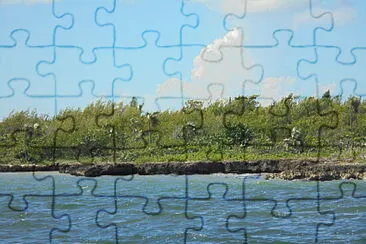 Cayman Island jigsaw puzzle