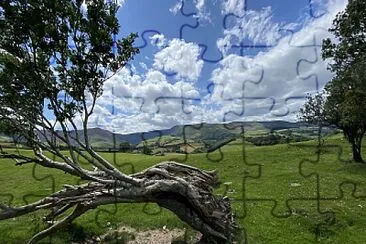 View with tree branch, Wales jigsaw puzzle