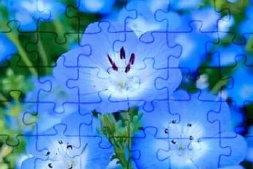 花 jigsaw puzzle