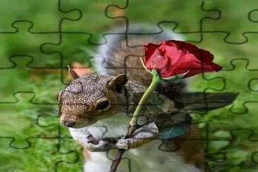 L 'ecureuil et la rose jigsaw puzzle