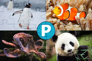 Animales que empiezan pa, pe, pi, po jigsaw puzzle