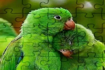 Verde jigsaw puzzle