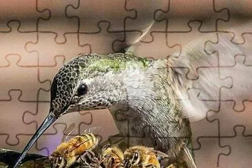 Compartir jigsaw puzzle