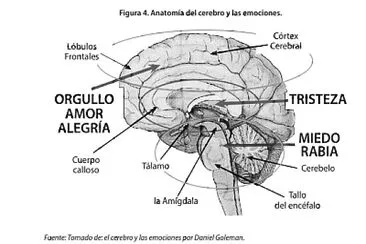 EDUCACIÓN EMOCIONAL: