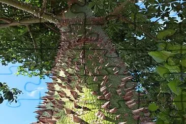 ARBOL DE LOS MAYAS