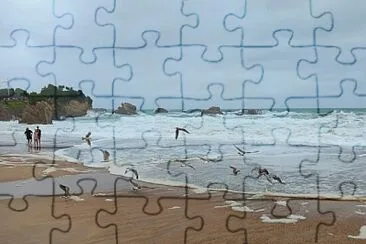 פאזל של Les oiseaux sur la plage