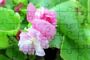 OK jigsaw puzzle