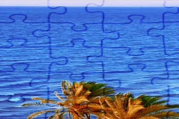 Palmeras jigsaw puzzle