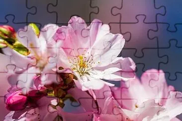 OK jigsaw puzzle