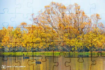 imagem jigsaw puzzle