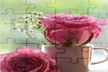 Rosas jigsaw puzzle