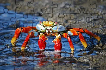 Toy jigsaw puzzle