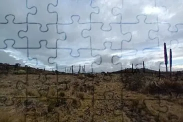 Páramo vía Choachí jigsaw puzzle