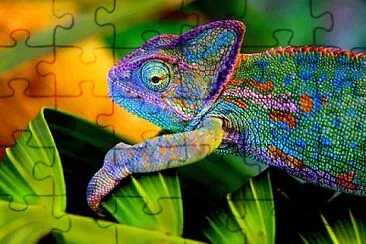 camaleon jigsaw puzzle