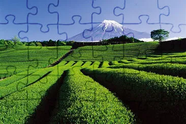 imagem jigsaw puzzle