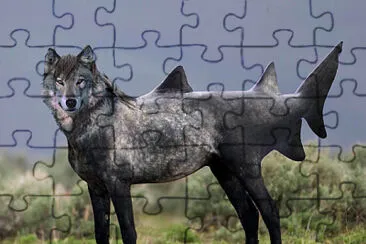 Wolf Shark jigsaw puzzle