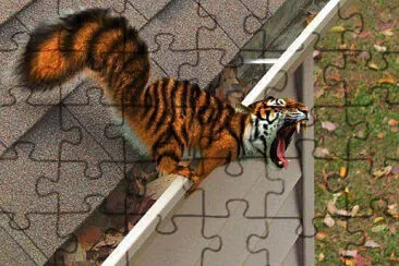 Tiger Squirrel jigsaw puzzle