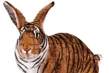 Rabbit Tiger