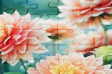 Flores jigsaw puzzle