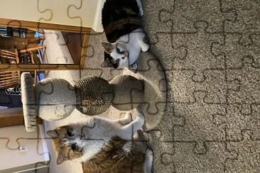 Rosie53 jigsaw puzzle