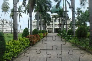 india jigsaw puzzle