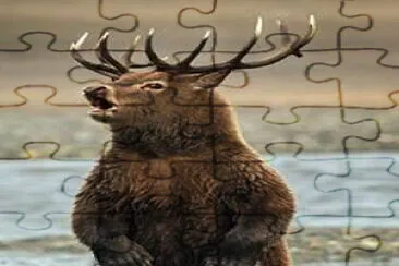 elk bear jigsaw puzzle