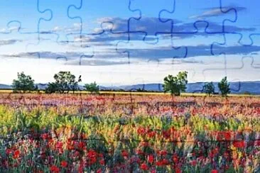 Toy jigsaw puzzle