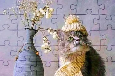 gato jigsaw puzzle