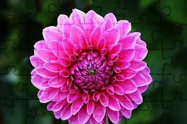 Flor jigsaw puzzle