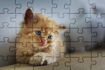 Gatito jigsaw puzzle