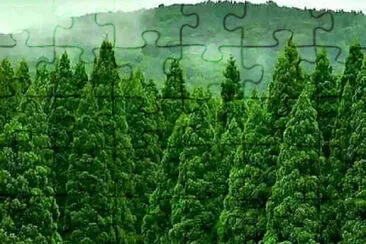 Nature jigsaw puzzle