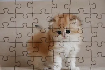 חתולה יפה jigsaw puzzle