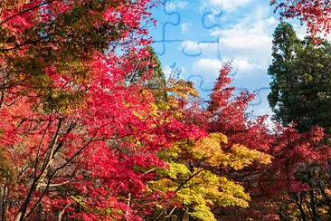 imagem jigsaw puzzle