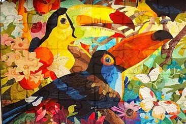 Toucans de toutes couleurs