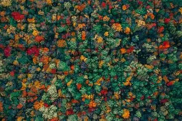 Los colores del otoño jigsaw puzzle