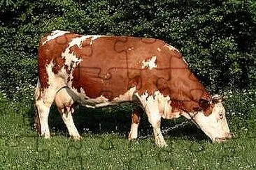 פאזל של La vache laitière