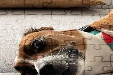 Perrita jigsaw puzzle