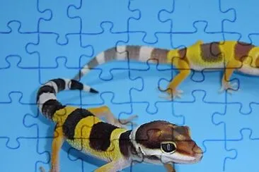 n jigsaw puzzle