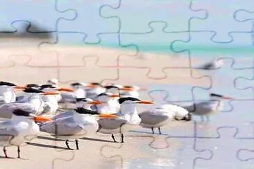 animales jigsaw puzzle