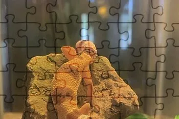 , jigsaw puzzle