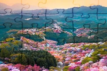 Cherry jigsaw puzzle