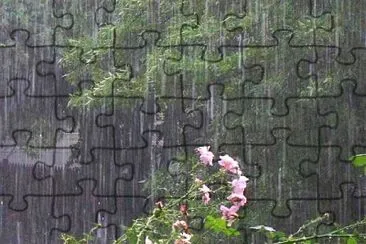 lluvia jigsaw puzzle