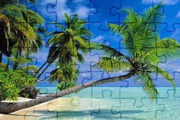 Toy jigsaw puzzle