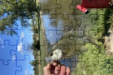 Crappie jigsaw puzzle